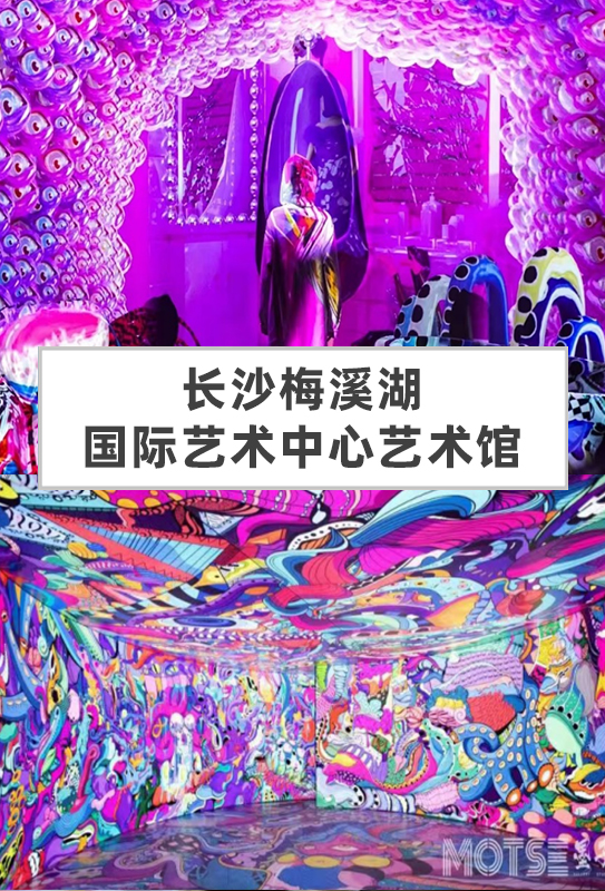 长沙梅溪湖国际艺术中心艺术馆