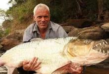 河中探秘，重达300公斤的杀人怪鱼，杰瑞米：我抓它就是玩-坠落鱼