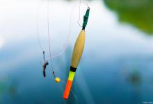 提升钓鱼技巧：七星漂的调节方法和优势-坠落鱼